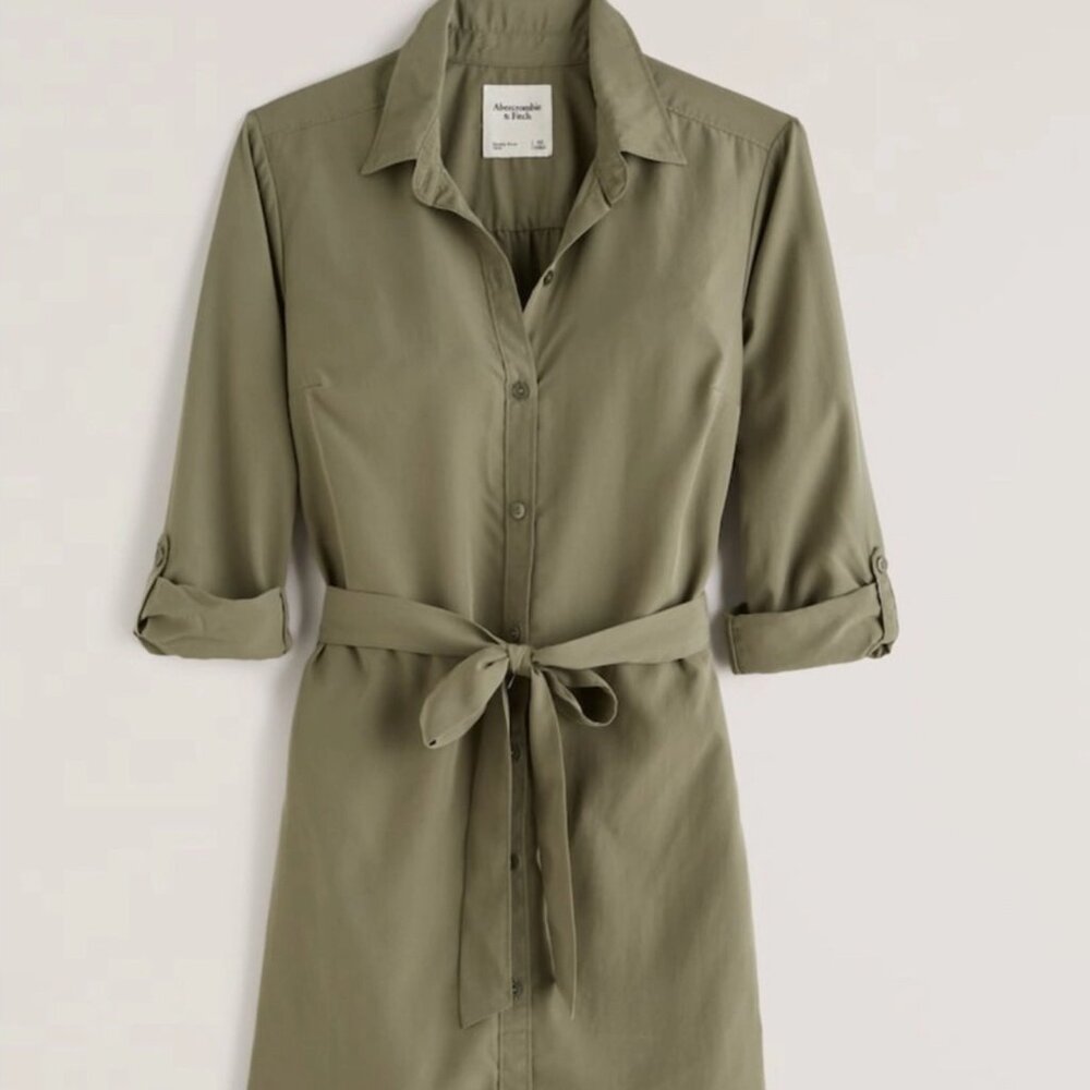 Abercrombie & Fitch Long-Sleeve Classic Shirt Dress (BNWT)